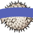 100