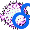 8,