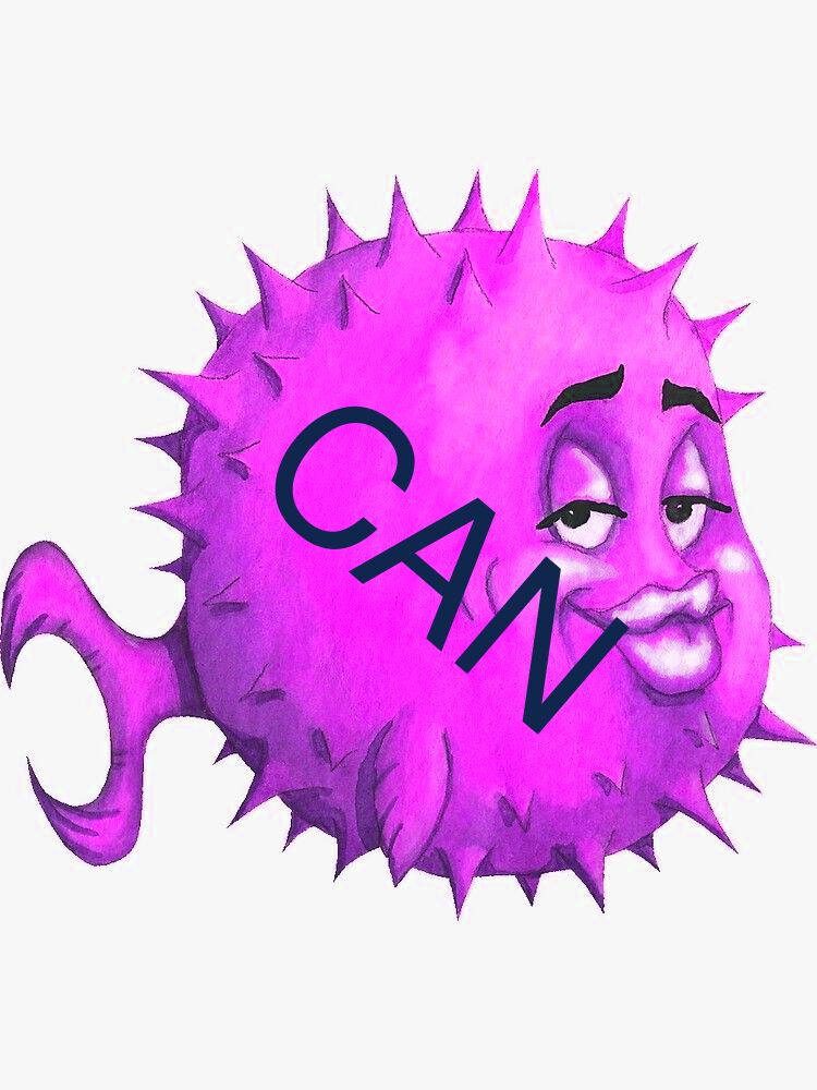 CAN