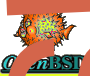 DISK