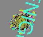 ENIGMA