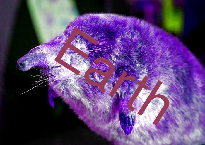 Earth