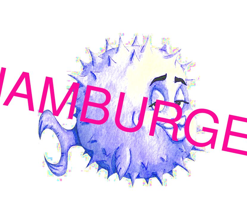 HAMBURGER.