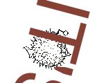 IT'S