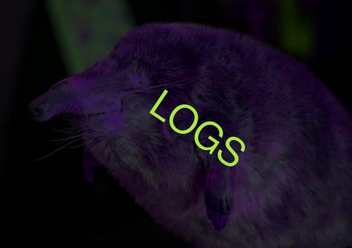 LOGS