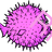 RMS