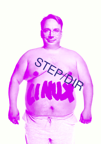 STEP/DIR