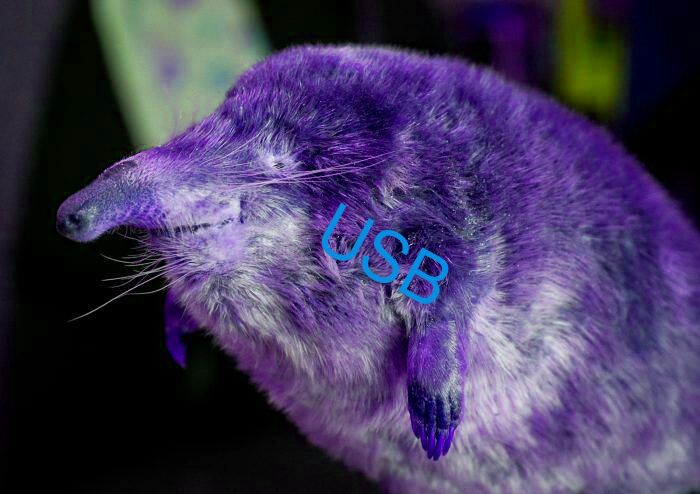 USB