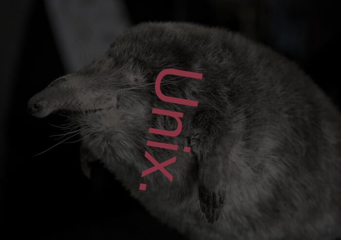 Unix.
