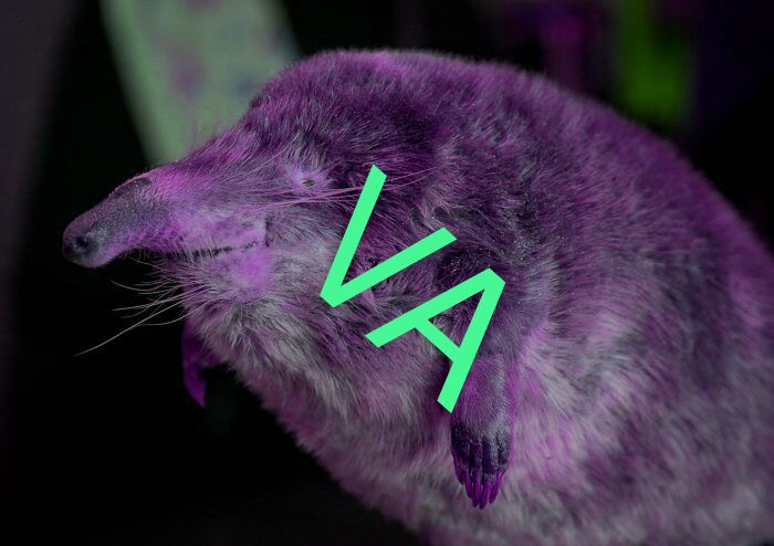 VA