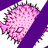 We