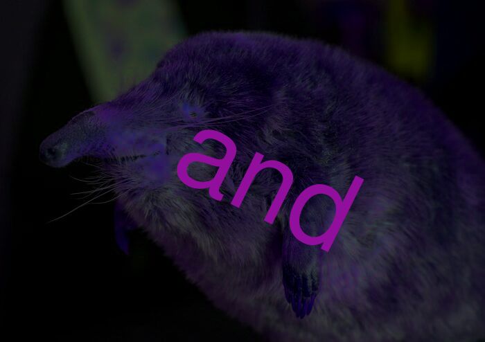 and