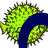 brain