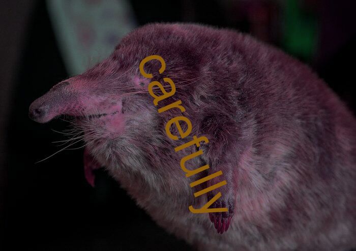 carefully