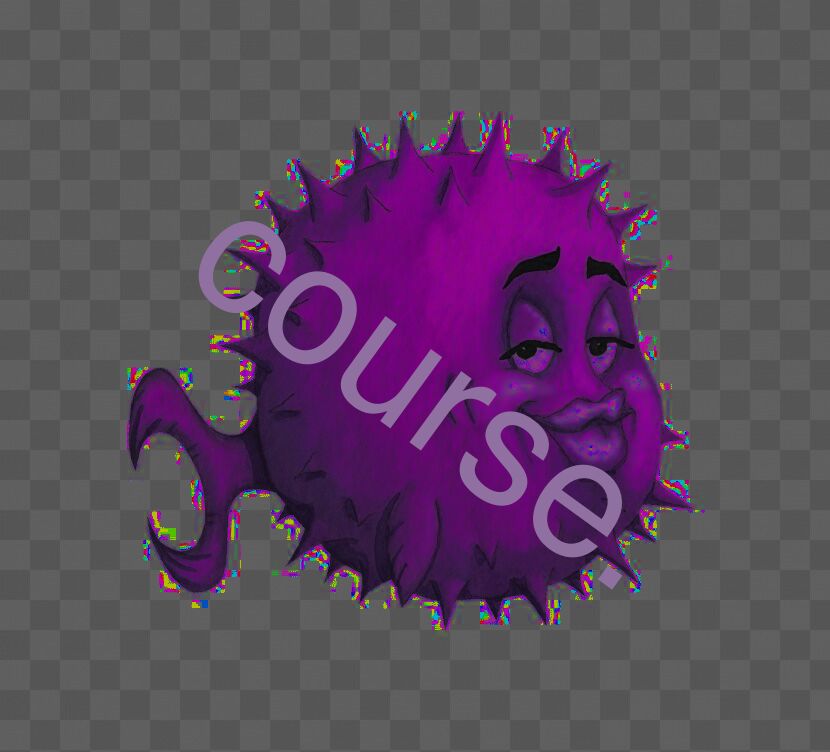 course.