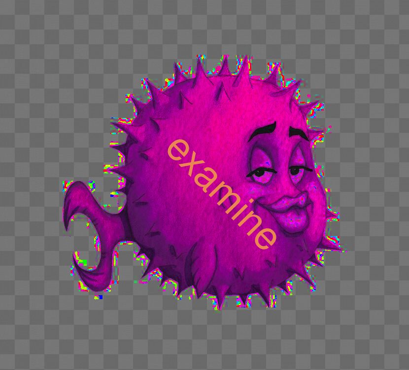 examine