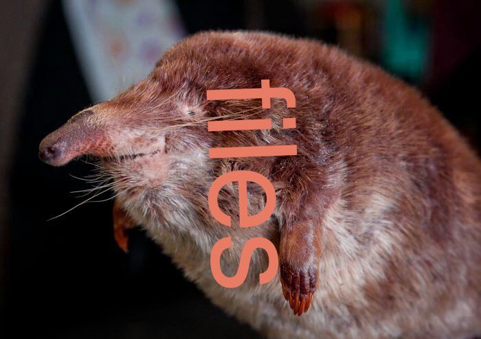 files