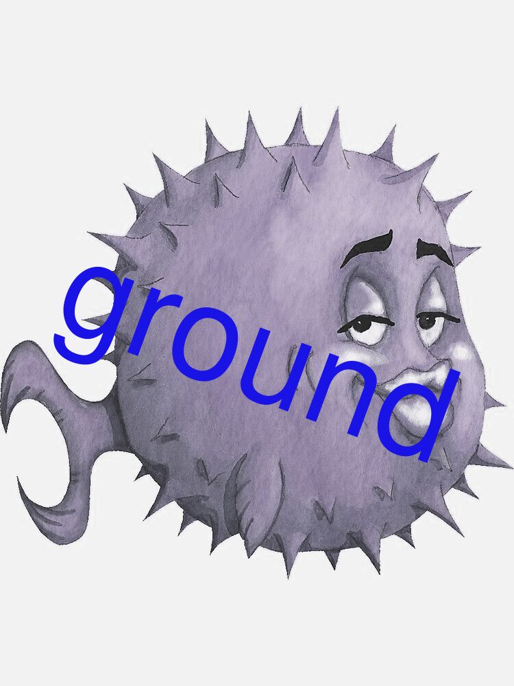 ground;
