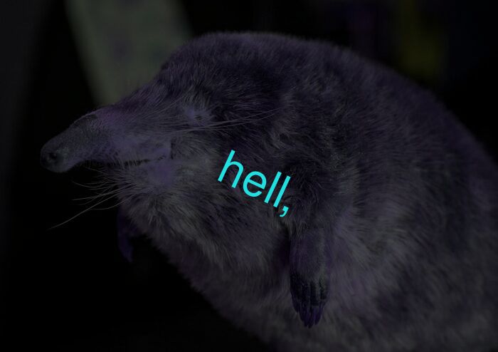 hell,
