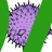 implant,