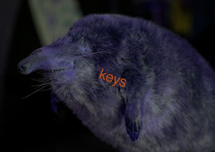 keys