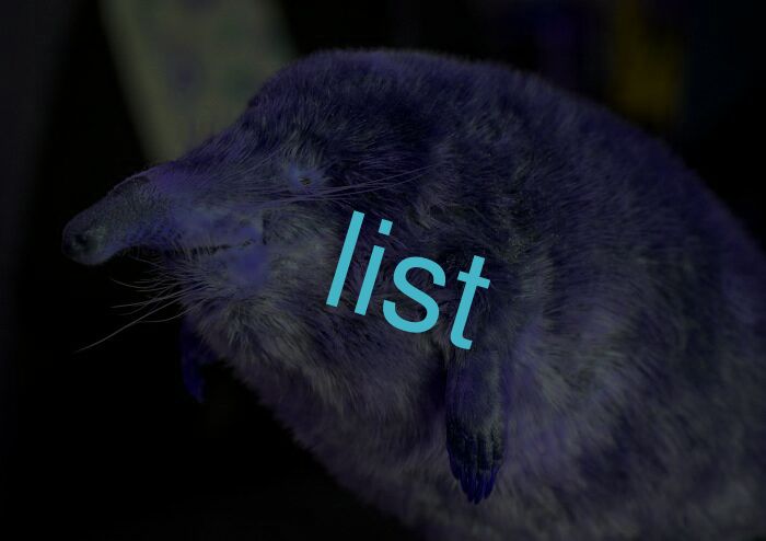list