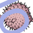 log
