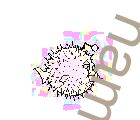 name