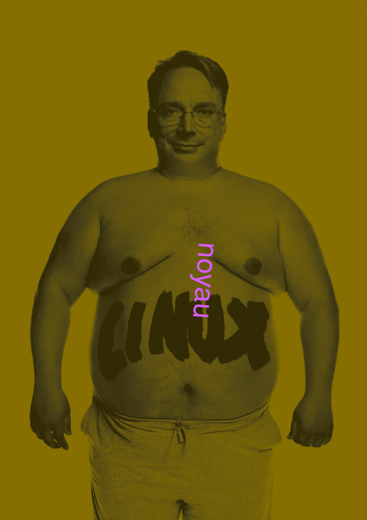 noyau