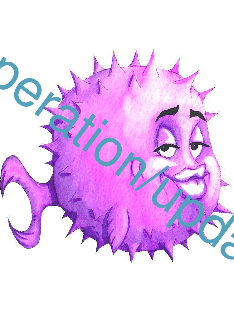 operation/update
