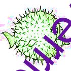 override