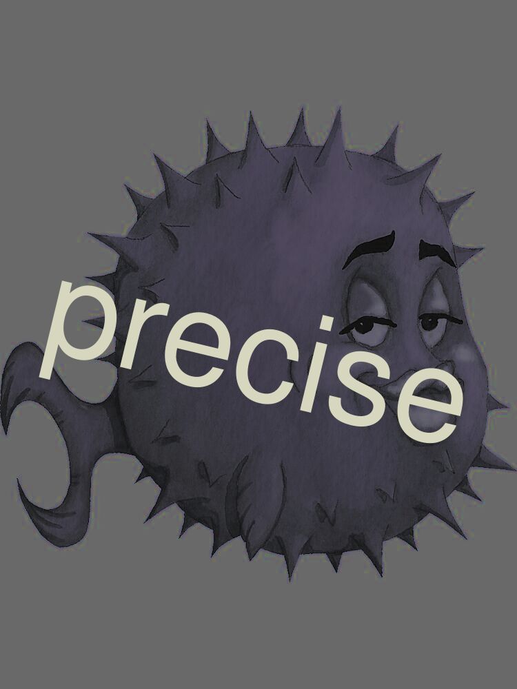 precise