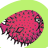 program