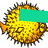 she