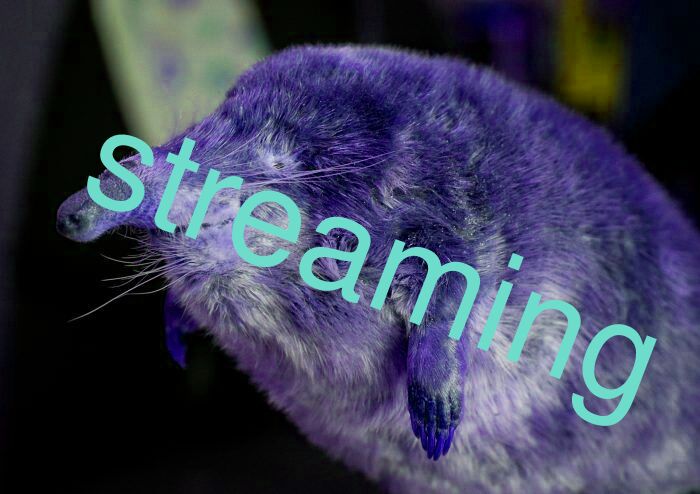 streaming?