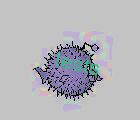 tests