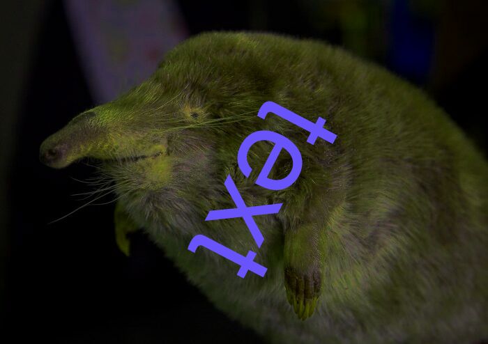 text