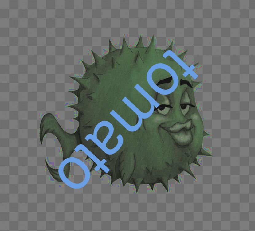 tomato