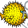 »